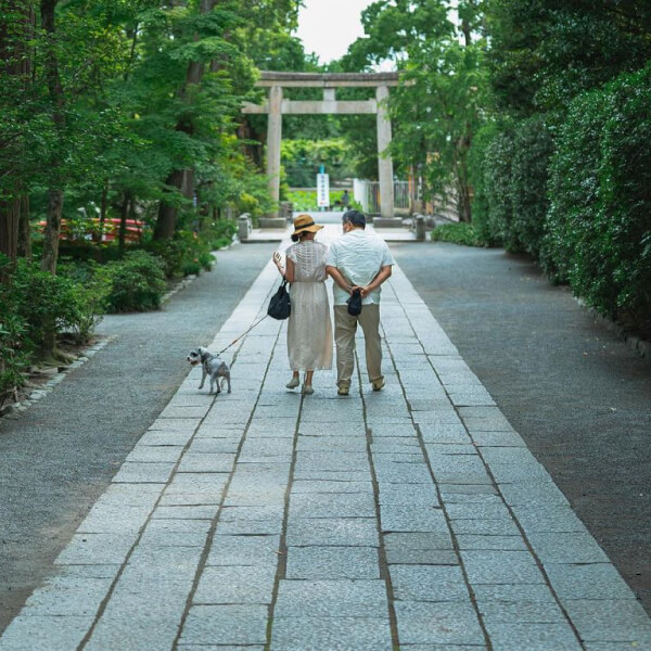 photograph｜Photographer Miho Oyamada ポートフォリオサイト